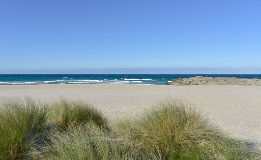 Arteixo, Coruña Province, Galicia Region, Spain. Beach with waves and vegetation on sand dunes on a sunny day.