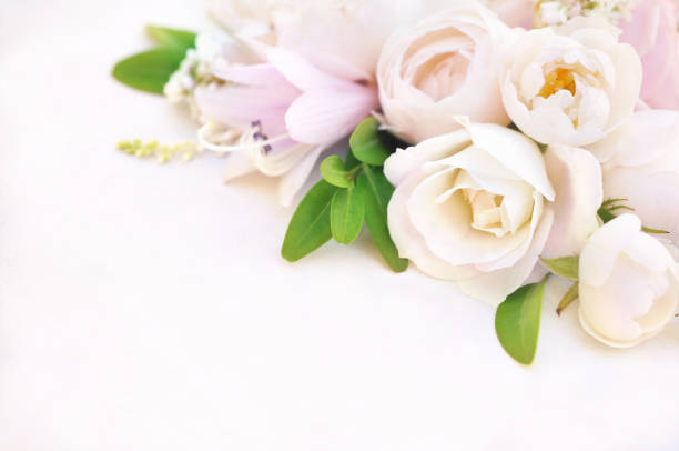 istock Delicate blossoming roses and blooming flowers festive background 1206383786