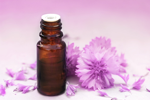 Essential oil bottles on medicinal pink cornflowers flowers and herbs background, selective focus, toned