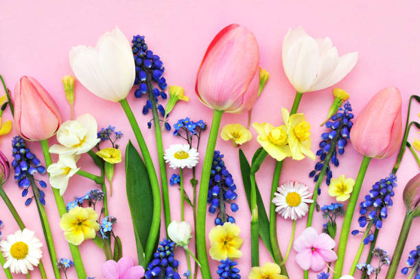 istock Spring blossoming flowers and tulips bright background 1206384701