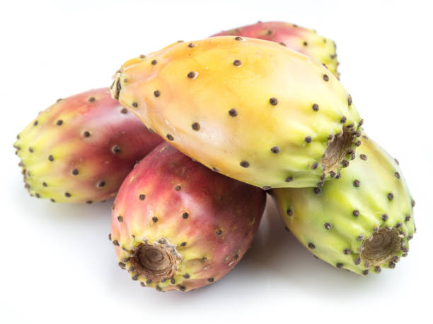 fruit d’opuntia ou fruit de poire de barbarie sur le fond blanc. plan rapproché. - prickly pear pad photos et images de collection