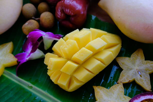 exotic fruits slices of carambola, mango, longan and pink apple stock photo