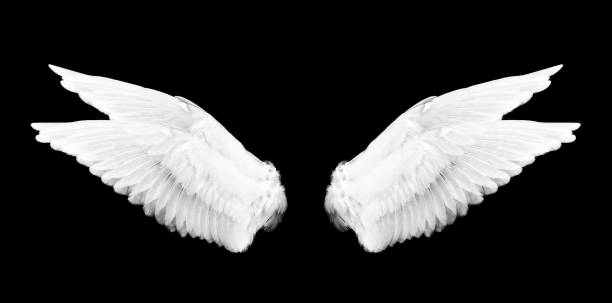istock Pinion on the sprawling black background 1206384896