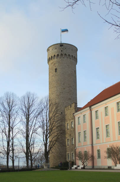 istock Towers of old Tallinn 1206388180