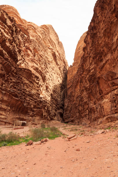 istock Canyon in Wadi Rum desert, Jordan 1206389433