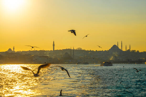Photo of Sunset with sun behind silhouette in Istanbul, golden horn, suleymaniye mosque