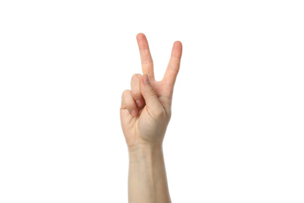 istock Female hand showing two fingers, isolated on white background 1206394009