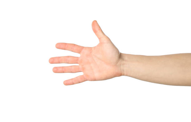 istock Male hand isolated on white background. Gestures 1206394150