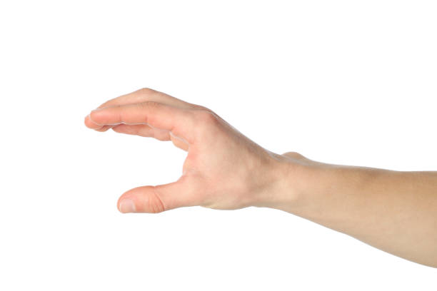 istock Male hand holding something, isolated on white background 1206394192