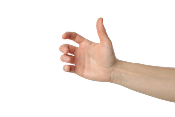 istock Female hand holding something, isolated on white background 1206394206