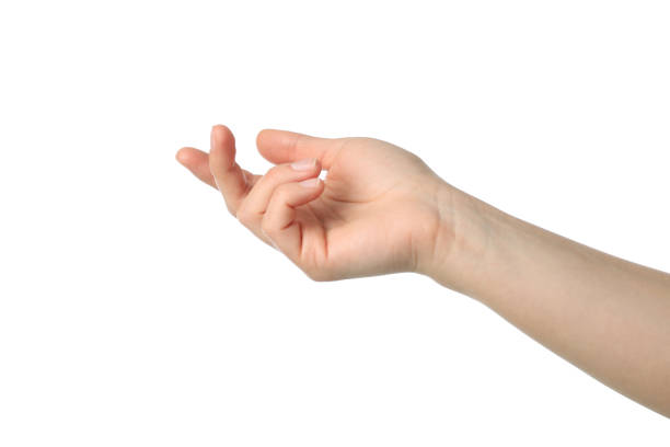 istock Female hand showing gesture, isolated on white background 1206394930