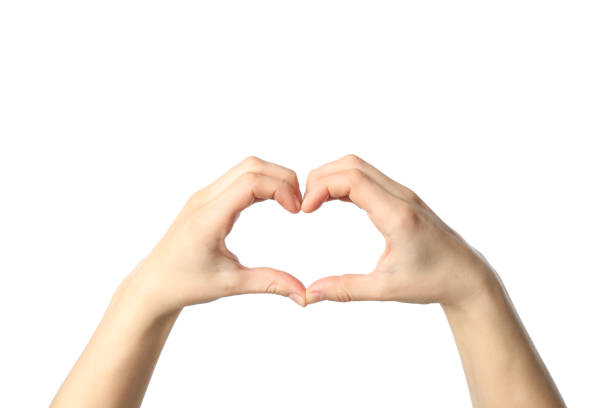 istock Female hands show heart, isolated on white background 1206395208