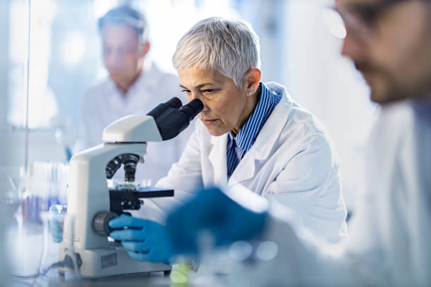 mature chemist working on a microscope among her coworkers in laboratory. - science life medical research healthcare and medicine imagens e fotografias de stock