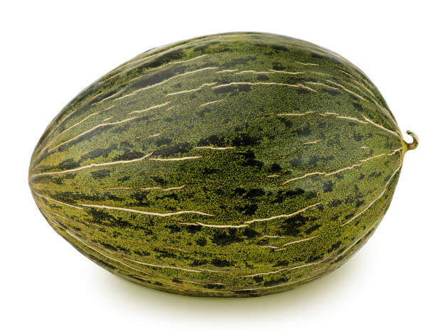 Fresh ripe melon isolated on a white background.