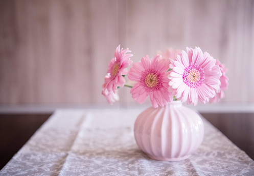 Pink Gerbera Flowers in Pink Vase on the Table
