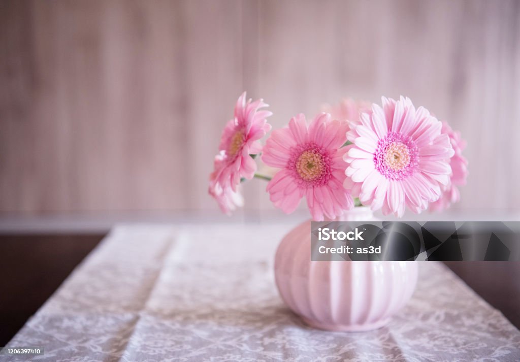 Pink Gerbera Flowers in Pink Vase on the Table Flower Stock Photo