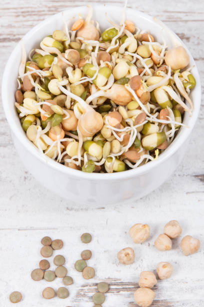 istock Nutritious different sprouts as source vitamins and minerals. Healthy nutrition 1206398904