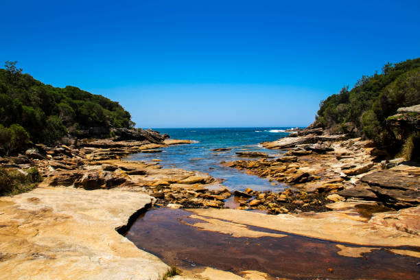 istock Coastal Feature at Royal National Park 1206404193