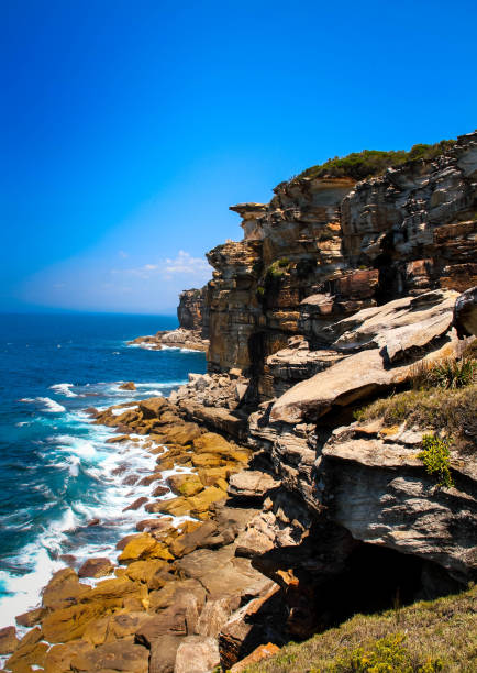 istock Coastal Cliffs at Royal National Park 1206404227