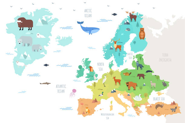 Modern Infographic Template World map with funny wild animals living on European continent. Adorable cartoon herbivore and carnivore mammals and birds inhabiting Europe. Flat colorful vector illustration for educational poster. the boar fish stock illustrations