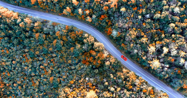 istock Car traveling on a country road 1206406621