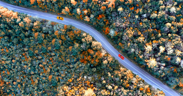 istock Car traveling on a country road 1206406622