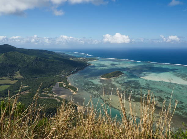 istock View on the lagoon from the Morne in Mauritius 1206408838