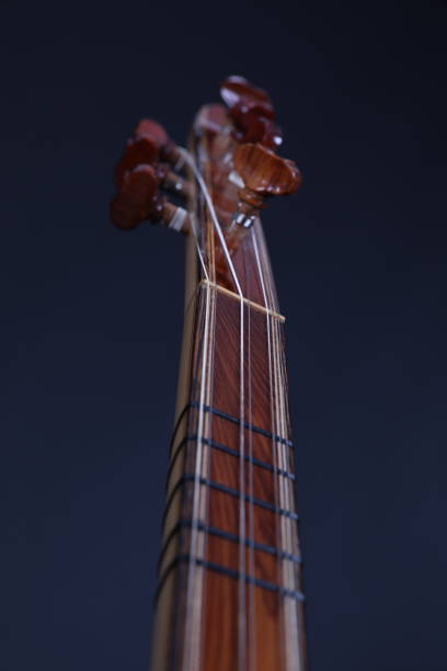 istock Saz and hand,Turkish musical instrument 1206409391