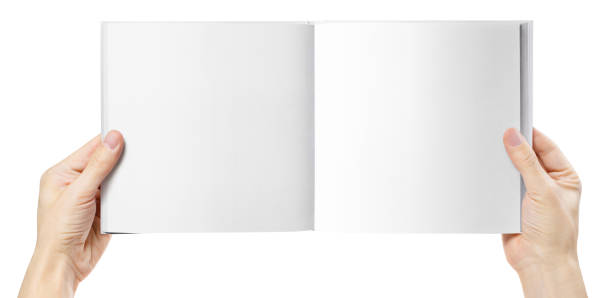 istock Hands holding open square book or album with blank pages on white 1206418350