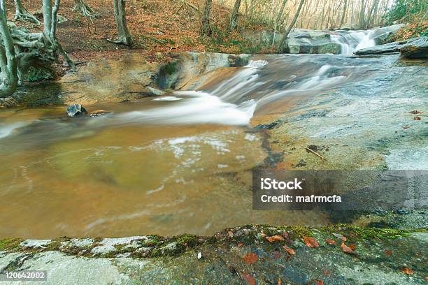 Foto de Água Na Floresta e mais fotos de stock de Barcelona - Espanha - Barcelona - Espanha, Bosque - Floresta, Cascata