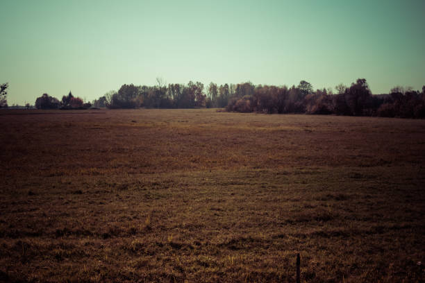 landscape with empty meadow at the beginning of autumn