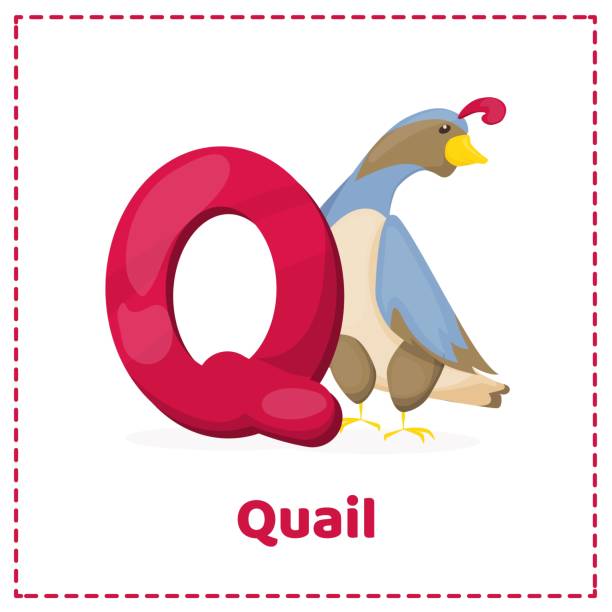 Abc Q&a Examples Q&a Format Apa