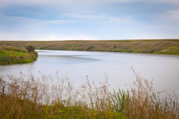 istock summer landscape with river, sky and surrounding plants 1206423990