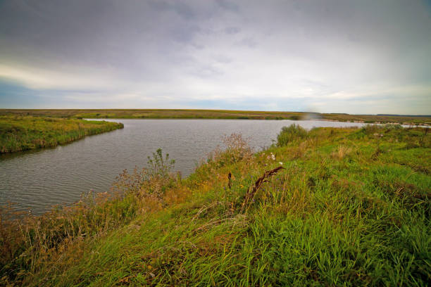 istock summer landscape with river, sky and surrounding plants 1206424002