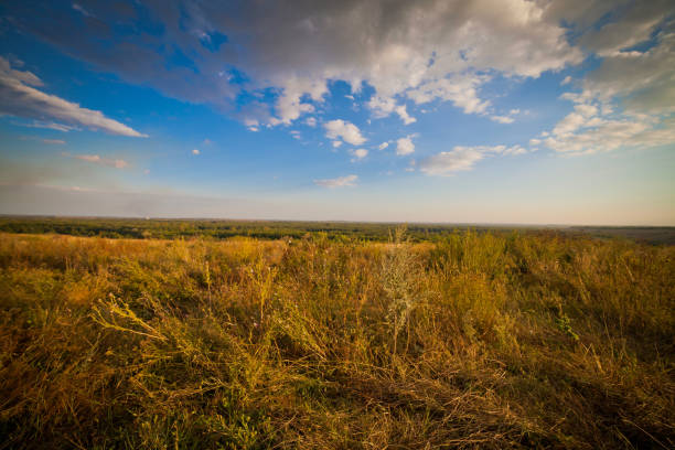 istock summer landscape with large meadows and blue sky and open space 1206425265