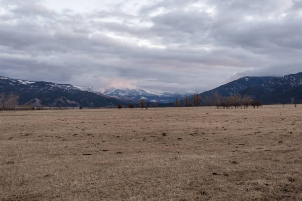 duże ośnieżone pasmo górskie za ogromnym pustym pastwiskiem z przerażającymi drzewami - mountain montana mountain peak mountain range zdjęcia i obrazy z banku zdjęć