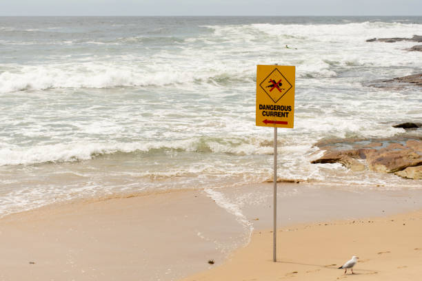 istock Dangerous current sign for swimmers at the beach in Australia 1206429302