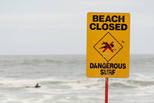 istock Cronulla, Australia 2020-02-15 Beach closed sign and a lonely blurred surfer in the ocean. Selective focus in the sign 1206429320