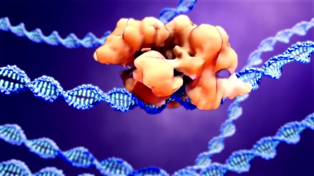 CRISPR-Cas9 proteins recognize and cut foreign pathogenic DNA