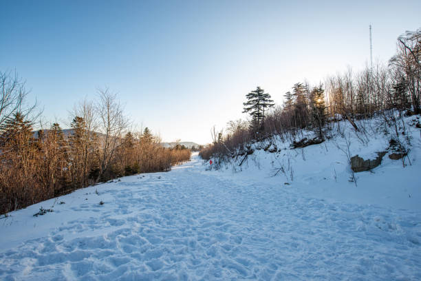 istock Winter cross-country ski track 1206431858