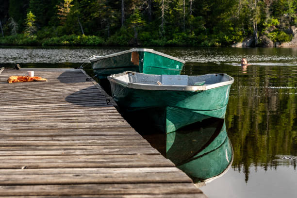 istock Fishing lake in early morning. 1206437113