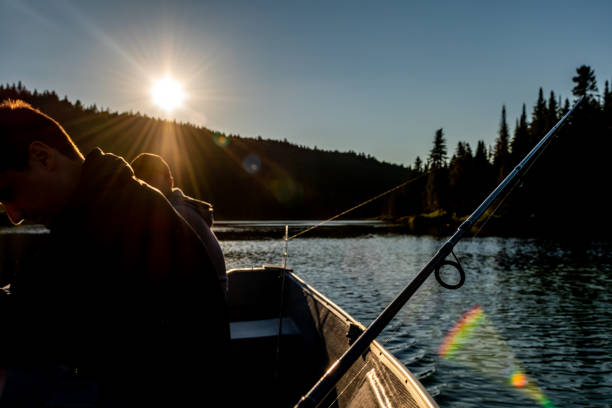 istock Fishing lake in early summer. 1206437121