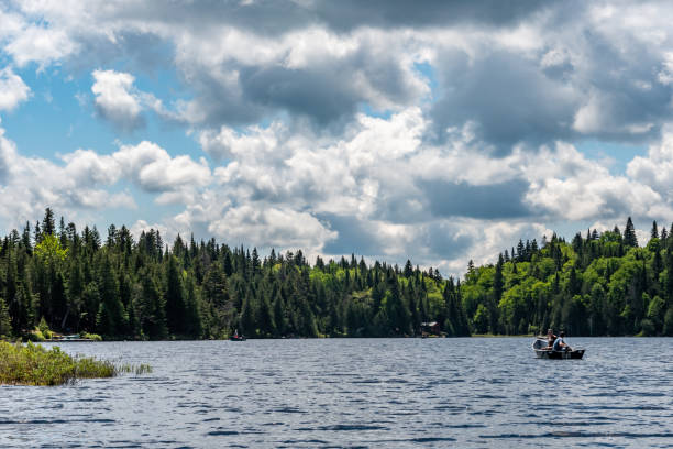 istock Fishing lake in early summer. 1206437477
