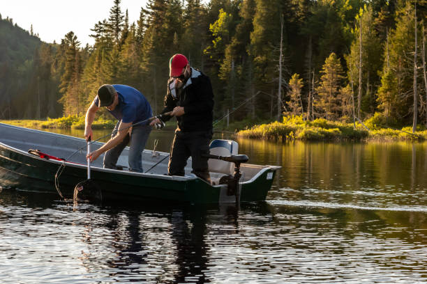 istock Fishing lake in early summer. 1206437663