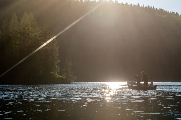 istock Fishing lake in early summer. 1206437882