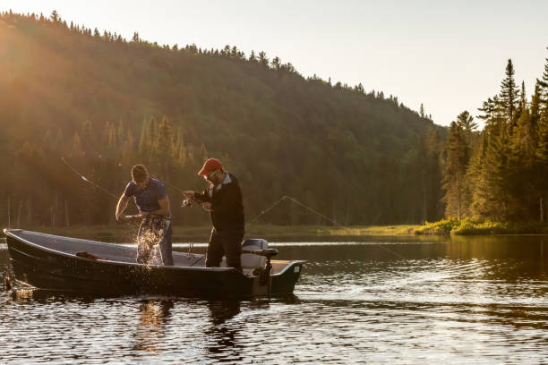 Fishing lake in early summer. Two fishermen catching a fish in a boat on a lake of Lanaudiere area, Quebec during the fishing season at sunset. fishing industry stock pictures, royalty-free photos & images