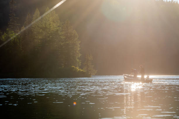 istock Fishing lake in early summer. 1206437973