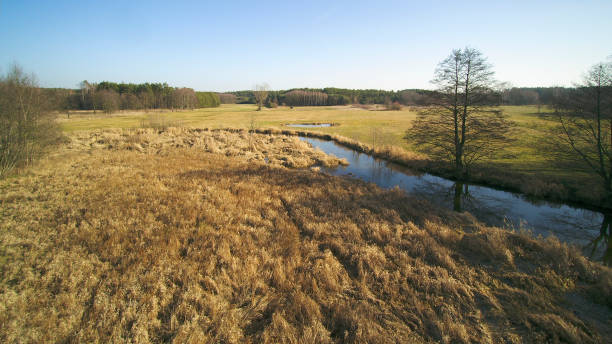 istock Landscape from a drone showing the river Grabia, Poland – 2020. 1206439614