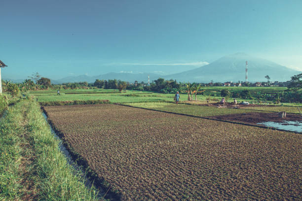 istock farmer activity in the morning with a mountain in the background 1206440886
