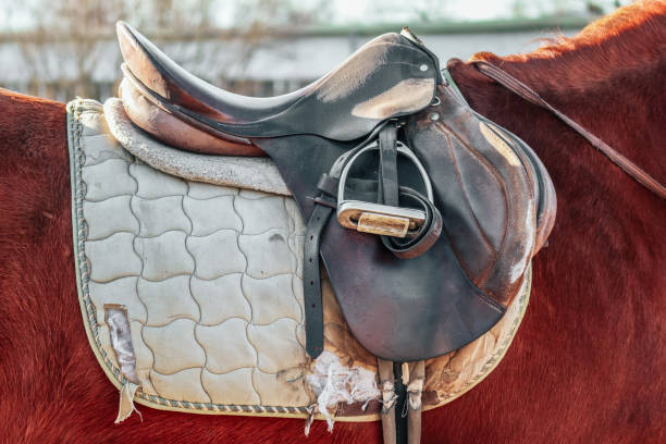 istock Old shabby saddle with stirrup on the horse back. 1206441909